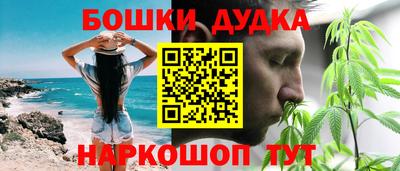 PSILOCYBIN Кингисепп